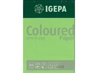 Igepa Coloured Paper Intensiv maigrün 80g/m²...