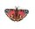Paul Günther 1103 - Kinderdrachen mit Schmetterling Motiv, Einleinerdrachen aus robuster PE-Folie mit verstellbarer Drachenwaage, für Kinder ab 4 Jahre mit Wickelgriff und Schnur, ca. 92 x 62 cm groß