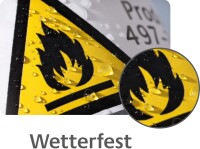 AVERY Zweckform L4778-20 Wetterfeste Folienetiketten...