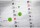 AVERY Zweckform 3855 selbstklebende Markierungspunkte (ø 19 mm, 250 Klebepunkte auf Rolle im Spender, runde Aufkleber für Kalender, Planer und zum Basteln) grün