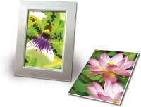 AVERY Zweckform C2550-50 Premium Inkjet Fotopapier (10x15, einseitig beschichtet, hochglänzend, 250 g/m²) 50 Blatt