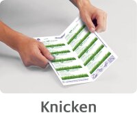 AVERY Zweckform C32015-10 Premium Visitenkarten, blanko (100 Stück, 260g, 85x54 mm, beidseitig bedruckbar, matt weiß, absolut glatte Kanten, 10 Blatt) zum Selbstbedrucken auf Inkjet-Druckern