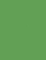 Folia Ton-Papier 50x70 130g smaragdgrün