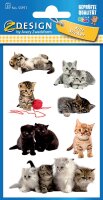 AVERY Zweckform 55971 Papier-Sticker Katzen 21 Aufkleber (für Jungen, Mädchen und Erwachsene, süße Katzen-Babies,Kindergeburtstag, Mitgebsel, Gastgeschenk, Schatzsuche, zum Spielen, Sammeln, Basteln)