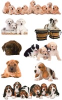AVERY Zweckform 55972 Papier-Sticker Hunde 24 Aufkleber (für Jungen, Mädchen und Erwachsene, süße Hunde-Babies,Kindergeburtstag, Mitgebsel, Gastgeschenk, Schatzsuche, zum Spielen, Sammeln, Basteln)
