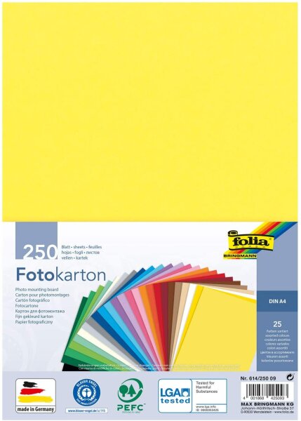 folia 614/250 09 - Fotokarton Mix, DIN A4, 300 g/qm², 250 Blatt, sortiert in 25 Farben, zum Basteln und kreativen Gestalten von Karten, Fensterbildern und für Scrapbooking