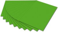 folia 6155 - Fotokarton Grasgrün, 50 x 70 cm, 300...