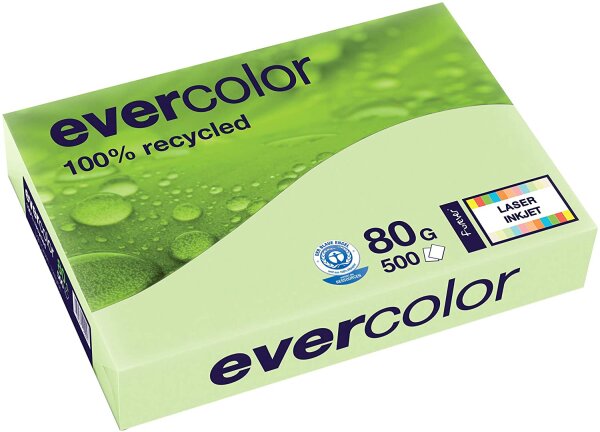 Clairefontaine Forever Evercolor Pastell Hellgrün A3 - 30004C 80g 500 Blatt