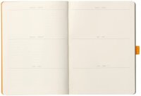 Rhodia 117804C - Notizheft Softcover Rhodiarama Goalbook DIN A5 (14,8x21 cm), 120 Blatt, DOT, 2 Lesezeichenbänder, Gummizugverschluss, Cover aus Kunstleder Salbei, 1 Stück