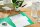 Exacompta 13345B 100er Pack Premium Karton-Trennstreifen. 10,5 x 24 cm grün. Für eine übersichtliche Anblage Ihrer Dokumente. Trennlaschen Trennblätter Ordner Register
