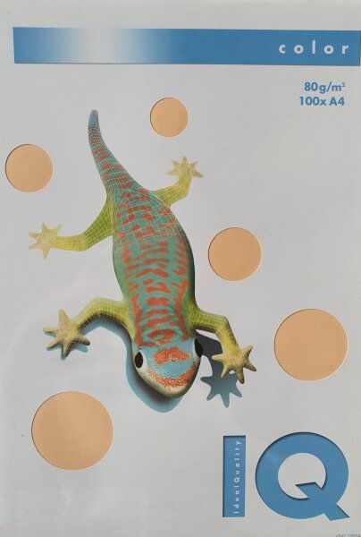 IQ Color pastell 80g A4 100 Blatt
