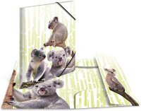 HERMA 19958 Sammelmappe DIN A4 Exotische Tiere Koalafamilie, stabiler Kunststoff, Ordnungsmappe mit bedruckten Innenklappen und Gummizug, Dokumentenmappe für Kinder, Jungen und Mädchen