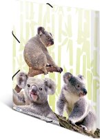 HERMA 19958 Sammelmappe DIN A4 Exotische Tiere Koalafamilie, stabiler Kunststoff, Ordnungsmappe mit bedruckten Innenklappen und Gummizug, Dokumentenmappe für Kinder, Jungen und Mädchen