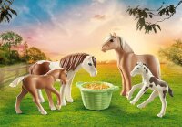 PLAYMOBIL Island Ponys mit Fohlen 71000 Bunt