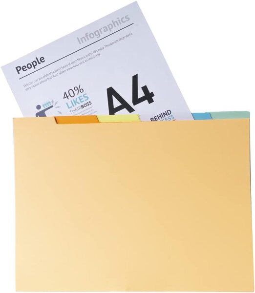 Exacompta 337000E Aktenmappen (Hängeregistraturen, Schubladen, 24x16 cm, DIN A4) 60er Pack 6 Farben sortiert orange, gelb, grün, rosa, hellblau, natur