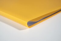 Exacompta 85109E Premium Sichtmappe aus blickdichten Kunststoff DIN A4 mit 100 Klarsichthüllen, 200 Sichten, perfekt für die Schule und das Büro Aktenhülle, Prospekthülle, gelb