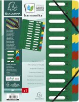Exacompta 55243E Premium Ordnungsmappe Harmonika. Aus extra starkem Colorspan-Karton DIN A4 24 Fächer und 2 Gummizüge mit Indexfenster und dehnbarem Rücken Register-Mappe grün