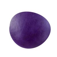 Modelliermasse SOFTY 500 G Violett - Violett - New Kids