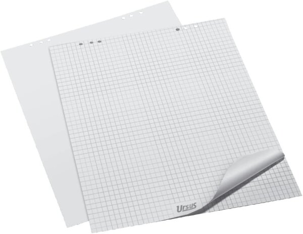 LANDRÉ 419000006 LANDR Flip-Chart-Block, 20 Blatt, blanko, 680 x 990 mm