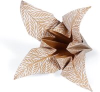 Clairefontaine 95355C - Packung mit 60 Blatt Origamipapier, in 3 Formaten (10x10 cm, 15x15 cm, 20x20 cm), Motiv sortiert, Kraft floral