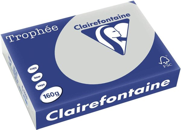 Clairefontaine Trophee Papier 1009C Stahlgrau 160g/m² DIN-A4 - 250 Blatt