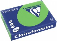 Clairefontaine Trophee Papier 1025C Maigrün...