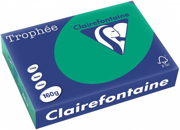 Clairefontaine Trophee Papier 1019C Tannengrün 160g/m² DIN-A4 - 250 Blatt