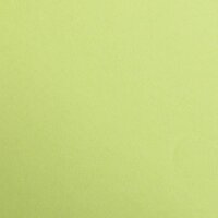 Clairefontaine 97252C Packung (mit 25 Bögen Zeichenpapier Maya, 50 x 70 cm,270g, glatt, ideal für Trockentechnik und Einrahmen) lindgrün