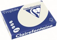 Clairefontaine Trophee Papier 1065C Grau 160g/m²...