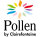 Clairefontaine Pollen Papier Kirschrot 210g/m² DIN-A4 25 Blatt