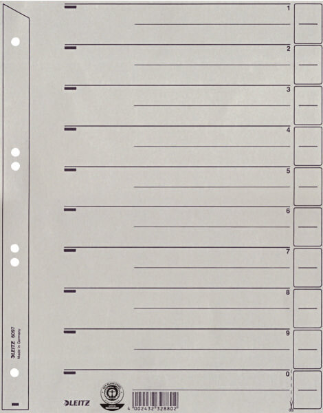 Leitz Trennblätter, Karton, A4 für Hängeordner, grau, 100 Stück